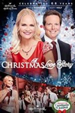 Watch A Christmas Love Story Megashare8