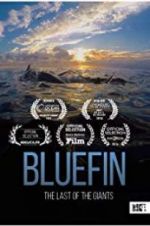 Watch Bluefin Megashare8
