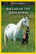 Watch Ballad of the Irish Horse Megashare8