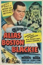 Watch Alias Boston Blackie Megashare8