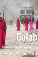 Watch Gulabi Gang Megashare8