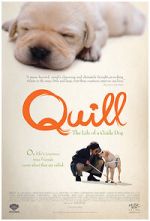 Watch Quill: The Life of a Guide Dog Megashare8