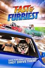 Watch Fast and Furriest Megashare8