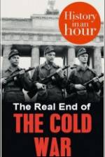 Watch The Real End of the Cold War Megashare8