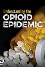 Watch Understanding the Opioid Epidemic Megashare8
