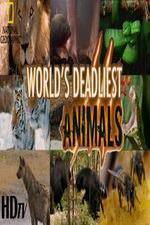 Watch National Geographic - Worlds Deadliest Animal Battles Megashare8