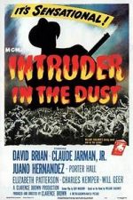 Watch Intruder in the Dust Megashare8