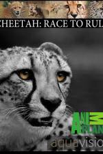 Watch Cheetah: Race to Rule Megashare8