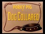 Watch Dog Collared (Short 1950) Megashare8
