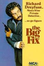 Watch The Big Fix Megashare8