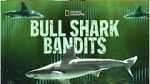 Watch Bull Shark Bandits Megashare8