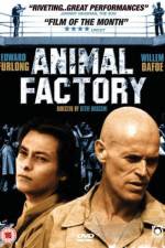 Watch Animal Factory Megashare8