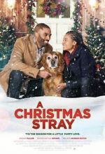 Watch A Christmas Stray Megashare8