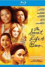 Watch The Secret Life of Bees Megashare8