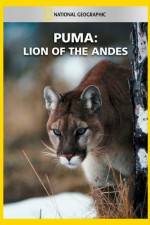 Watch National Geographic  Puma: Lion of the Andes Megashare8