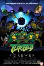 Watch Teenage Mutant Ninja Turtles Turtles Forever Megashare8