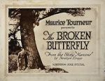 Watch The Broken Butterfly Megashare8