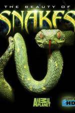 Watch The Beauty of Snakes Megashare8