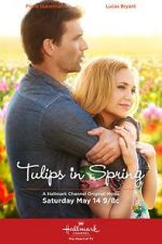 Watch Tulips in Spring Megashare8