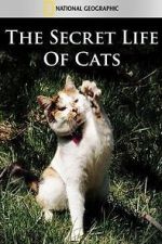 Watch The Secret Life of Cats Megashare8