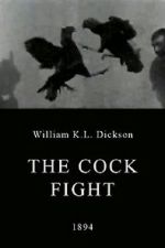 Watch The Cock Fight Megashare8