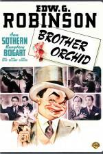 Watch Brother Orchid Megashare8