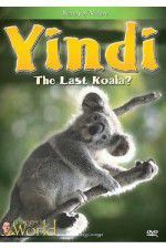 Watch Yindi the Last Koala Megashare8