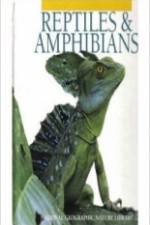 Watch Reptiles and Amphibians Megashare8