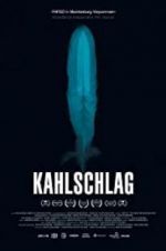 Watch Kahlschlag Megashare8