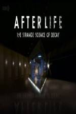Watch After Life: The strange Science Of Decay Megashare8