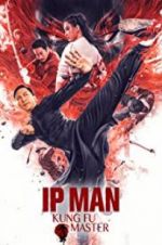 Watch Ip Man: Kung Fu Master Megashare8