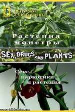 Watch National Geographic Wild: Sex Drugs and Plants Megashare8