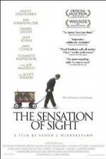 Watch The Sensation of Sight Megashare8