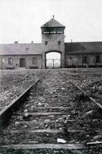 Watch AUSCHWITZ: FRENZIED KILLING Megashare8