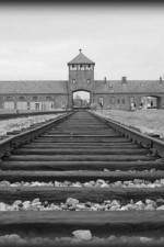 Watch AUSCHWITZ: ORDERS AND INITIATIVES Megashare8