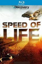 Watch Speed of Life Megashare8