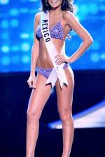 Watch 2010 Miss Universe Pageant Megashare8
