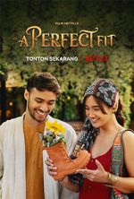 Watch A Perfect Fit Megashare8