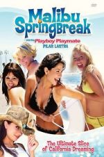 Watch Malibu Spring Break Megashare8