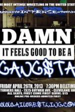 Watch AIW Damn It Feels Good To Be A Gangsta Megashare8