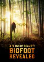 Watch A Flash of Beauty: Bigfoot Revealed Megashare8