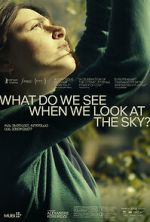 Watch What Do We See When We Look at the Sky? Megashare8