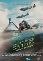 Watch The Shamrock Spitfire Megashare8