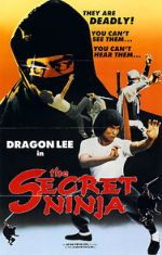 Watch Secret Ninja Megashare8