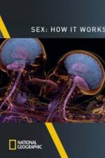 Watch Sex How It Works Megashare8