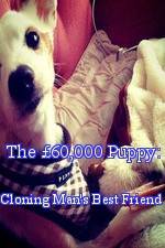 Watch The 60,000 Puppy: Cloning Man's Best Friend Megashare8