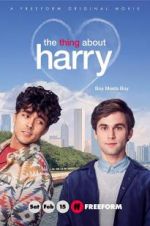 Watch The Thing About Harry Megashare8