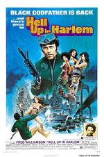 Watch Hell Up in Harlem Megashare8