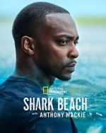 Watch Shark Beach with Anthony Mackie Megashare8