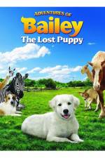 Watch Adventures of Bailey The Lost Puppy Megashare8